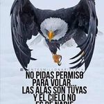 Eva Resendiz - @eva.resendiz.71 - Instagram