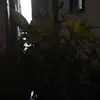 evaresendiz325 - @evaresendiz325 - TikTok