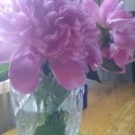 06102010 - @reznikovaeva061020102018 - Instagram