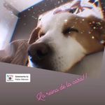Eva Ribes Ferrairo - @evita_tentaciones - Instagram