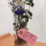 Eva Ribes Godia - @evaribesgodia - Instagram