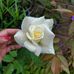 Eva Rice - Facebook
