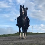 Eva Rice - @evarice_rider - Instagram