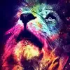 Eva Rickard675 - @evarickard675 - TikTok