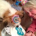 Eva Grigsby - @evagrigsby - Instagram