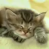 evarigsby688 - @evarigsby688 - TikTok