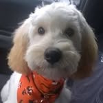 Eva Riley - @goshen04 - Instagram