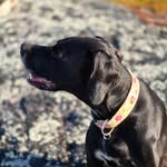 Grimmer Eva - @evagrimmer - Instagram