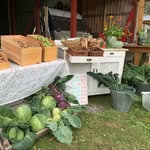 Eva Rising - @asangsgarden - Instagram
