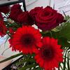 eva.rckm - @evaryckman - TikTok