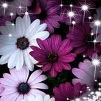 Eva Rodarte - Facebook
