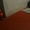 evarodrigues - @evarodrigues696 - TikTok