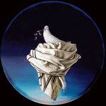 Eva Roffe - @studioateliermiami - Instagram