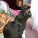 Eva Roldan - Facebook