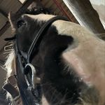 Eva rooney - @evarooney74 - Instagram
