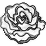 Eva Roos - Facebook