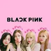eva ros - @black_pink989 - TikTok