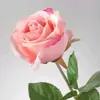 Evarose081478 - @rose_eva14 - TikTok