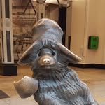 Evan Rothwell - @rothwellevan070 - Instagram