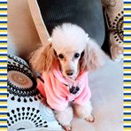 Eva Rowan - Facebook