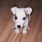 eva.r_99 - @evarozman99 - Instagram