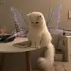 Eva🐛 - @evajrubin - TikTok