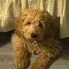 Evan Rushing - @evan.rushing3 - TikTok
