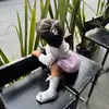Eva Samperio - @evasamperio - TikTok