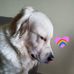 Eva Stoccolma Sampieri - Facebook