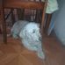 Eva Sanjuan - Facebook