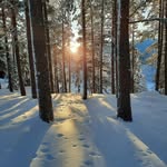 Eva Schön - @eva_schon_arbra - Instagram