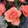 Eva Schön - @eva.schn - TikTok