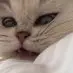 evaschulz15 - @evaschulz15 - TikTok