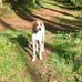 Eva Schulze - Facebook