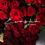 Evasha by Maria🌹 - @evasha.m - Instagram