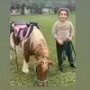 Hamza Alhajali945 - @evasham7 - TikTok