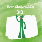 Evan Shapiro AZA #313 - @evanshapiro313 - Instagram