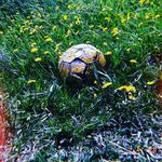 Ева Сокол - @eva_sokols - Instagram
