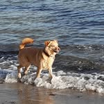 Eva-Maria Steinbach - @em_steinbach77 - Instagram