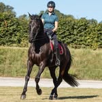 Eva Steinbach - @steinbachdressage - Instagram