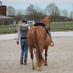 Eva Steinbach - Facebook