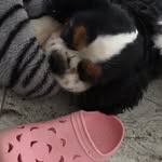 Eva Steinbach - @eva.steinbach1204 - Instagram