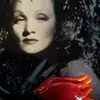 Eve Steinbach - @evesteinbach2 - TikTok