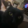 eva - @evaastill - TikTok