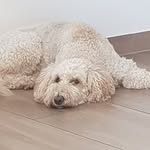 Eva Straub - @straubeva60 - Instagram