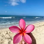 Eva Sun - Facebook