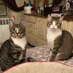 Eva Sunshine and Maverick - @evasunshineandmaverickinthenyc - Instagram