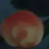 EvaSun13 - @evasun13 - TikTok