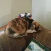 Eva Tharp - @eva.tharp7 - TikTok