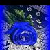 Eva Torrez - Facebook